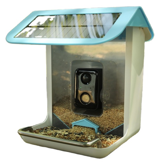 Smart Garden Video - STLFOutdoor Wildlife Wifi CamerasCapture Immagini Foto