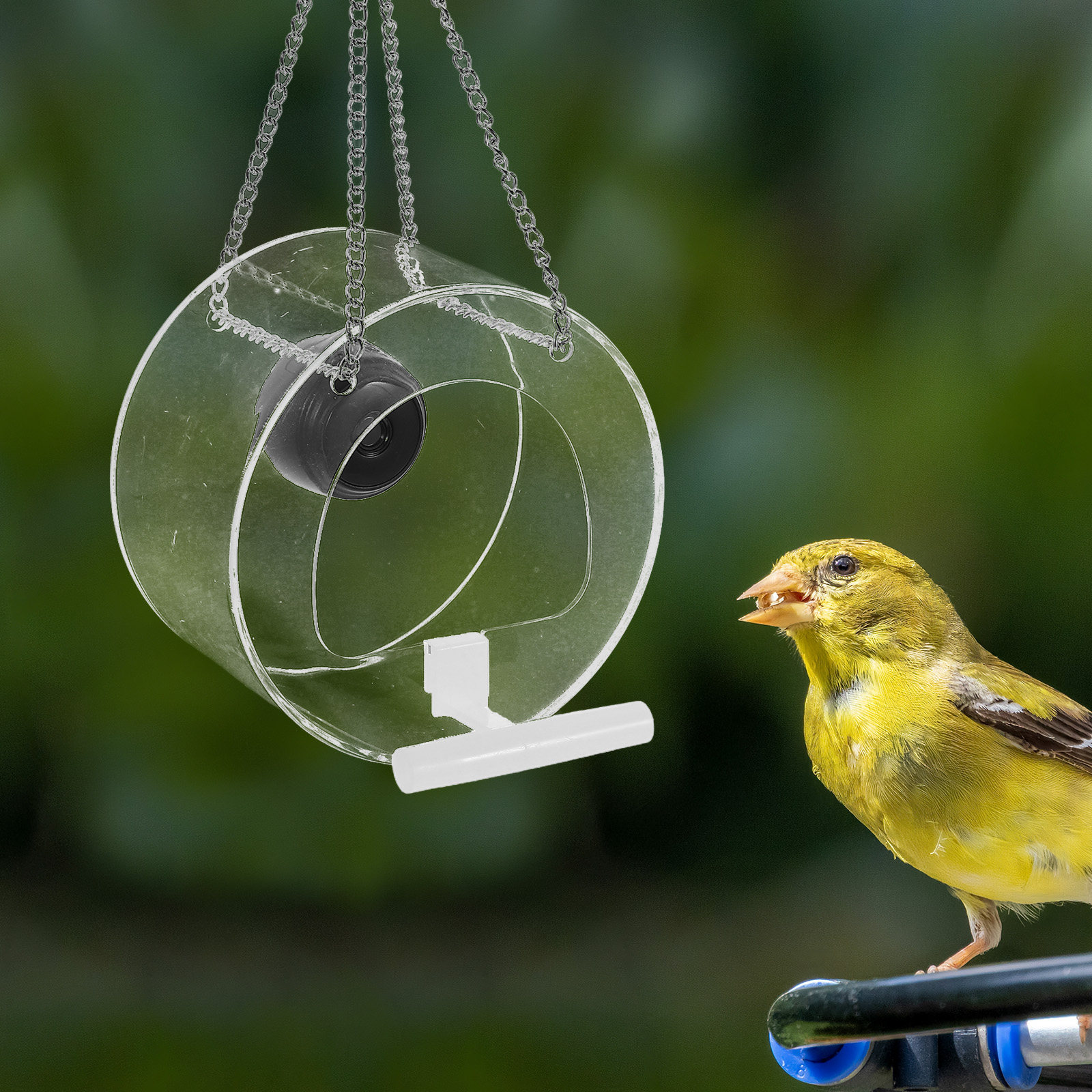 Smart Garden Video - Piattaforma intelligente con videocamera wireless trasparente