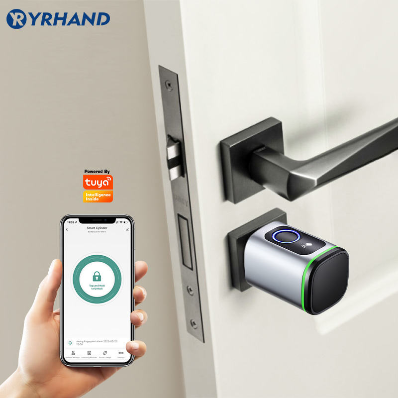 Serratura Elettronica Intellig - Smart Garden Lock recensione e prezzo