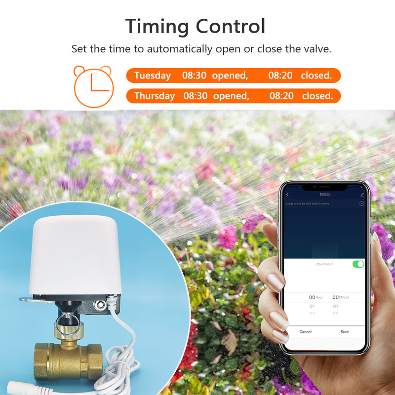 Valvola dell'Acqua WiFi Tuya Z - Smart Garden Sensors recensione e prezzo