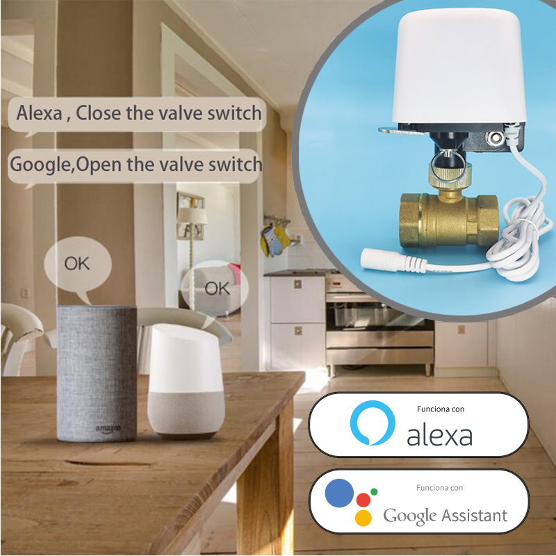 Valvola dell'Acqua WiFi Tuya Z - Smart Garden Sensors recensione e prezzo