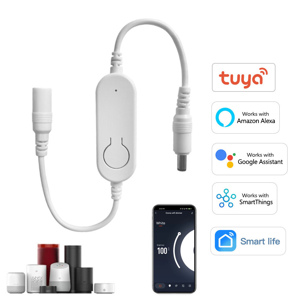 DC12V-24V Tuya Wifi Controller - Smart Garden Light Controller recensione e prezzo