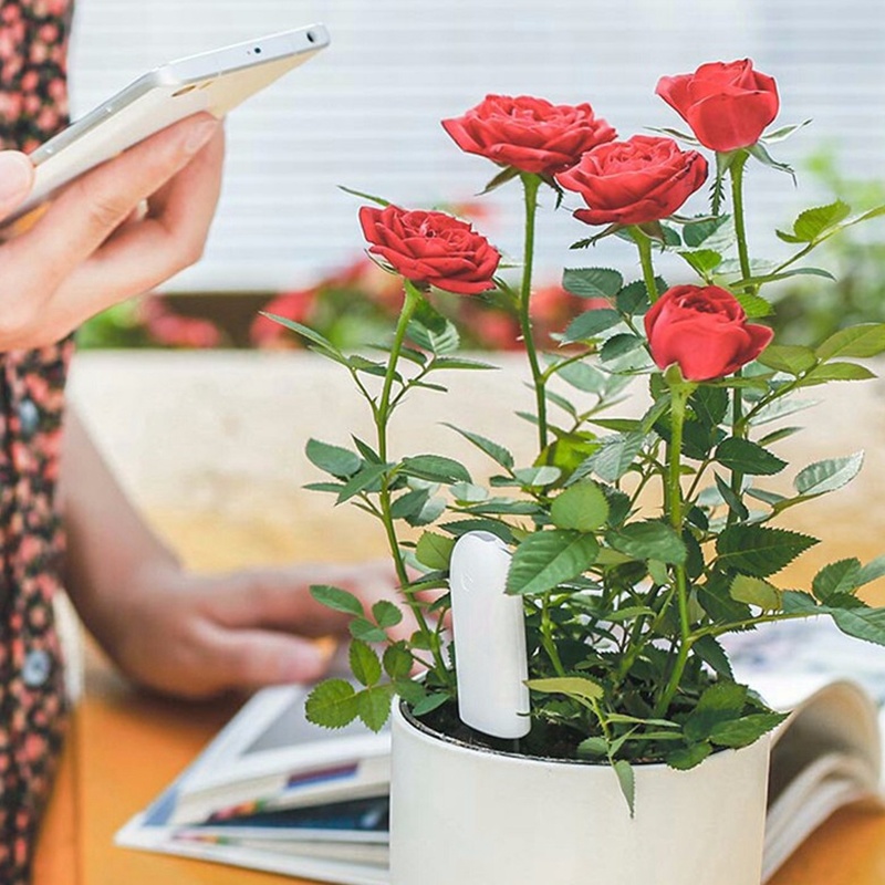 HHCC Fiore Monitor Flora Giard - Smart Garden Sensors recensione e prezzo