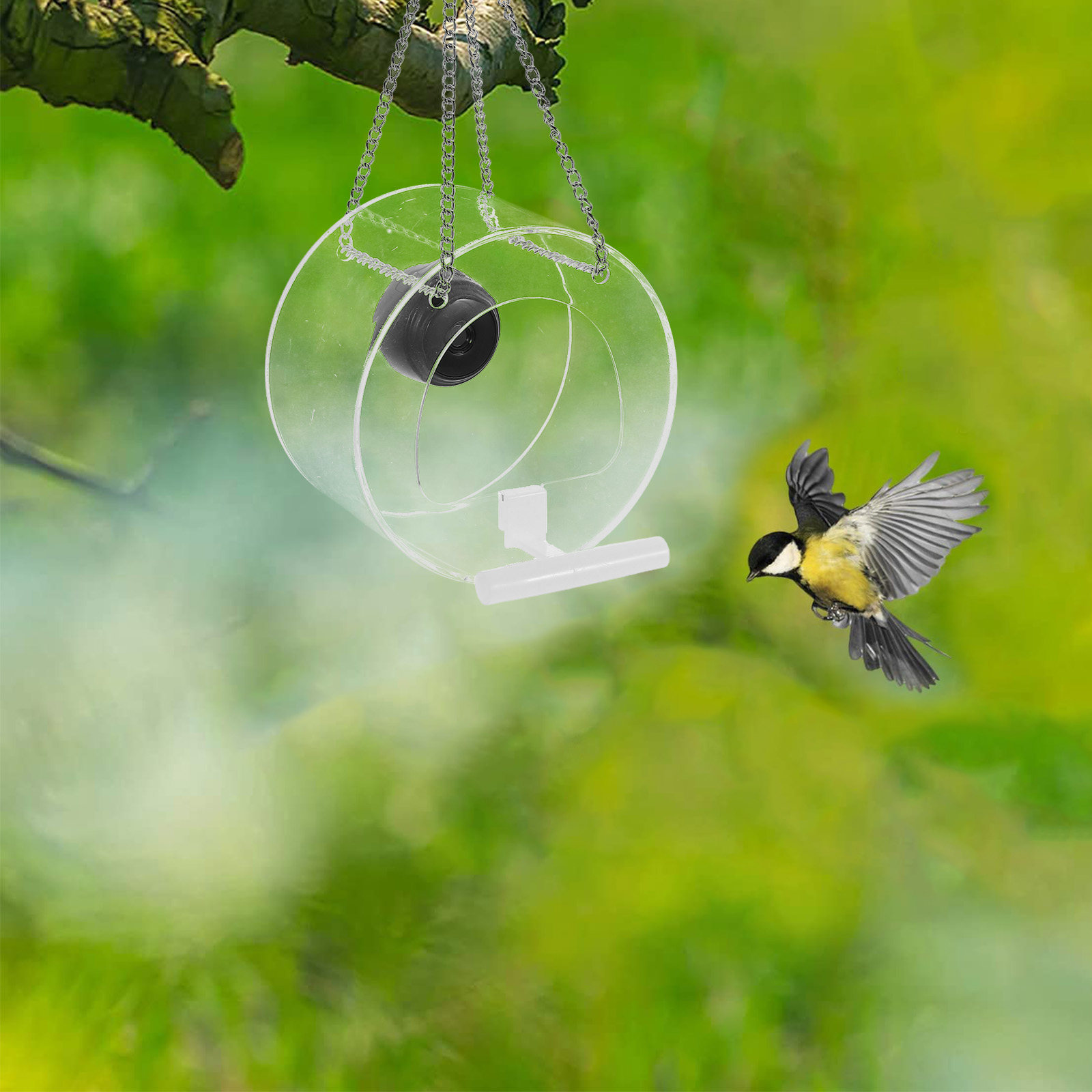 Dispositivo Smart con streamin - Smart Garden Video recensione e prezzo