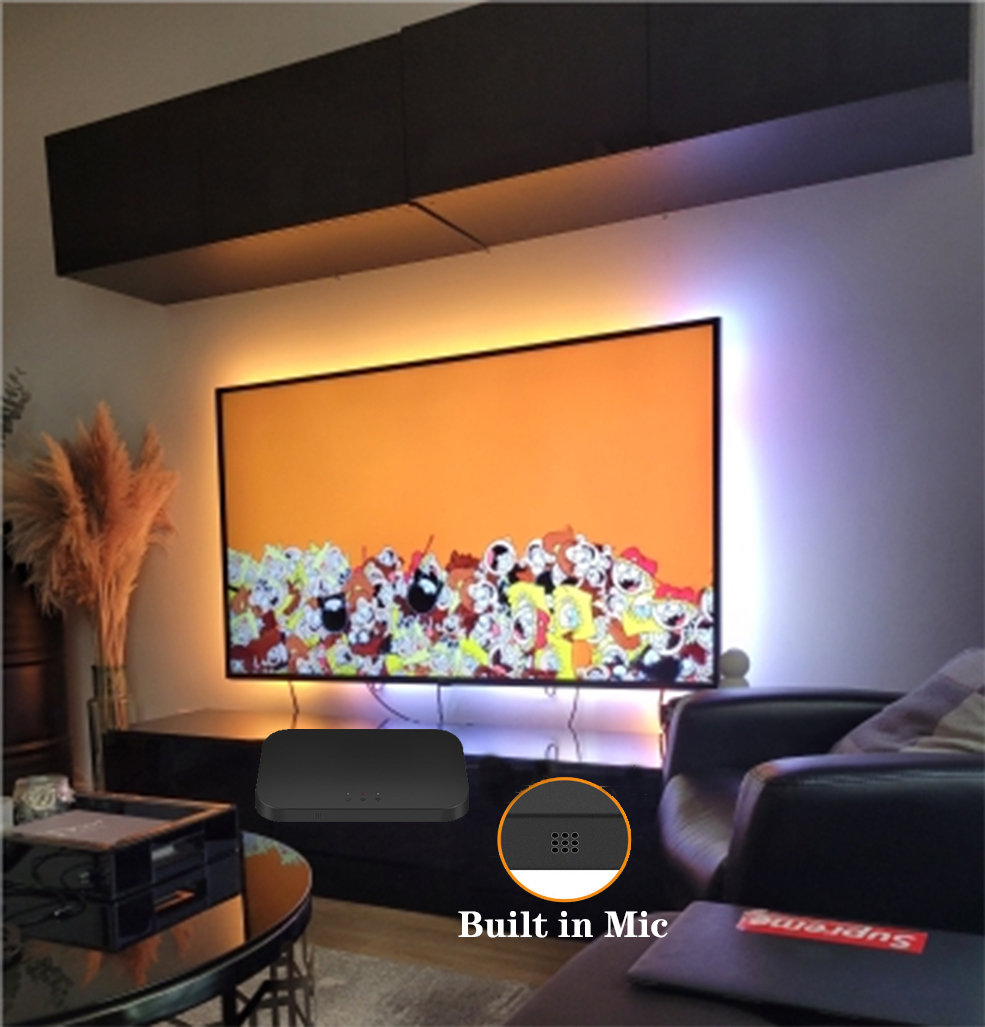 Smart Ambient TV Retroillumina - Smart Garden Light Controller recensione e prezzo