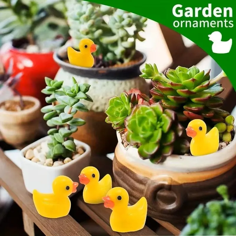 Mini Anatre in Resina all'Ingr - Smart Garden Diy recensione e prezzo