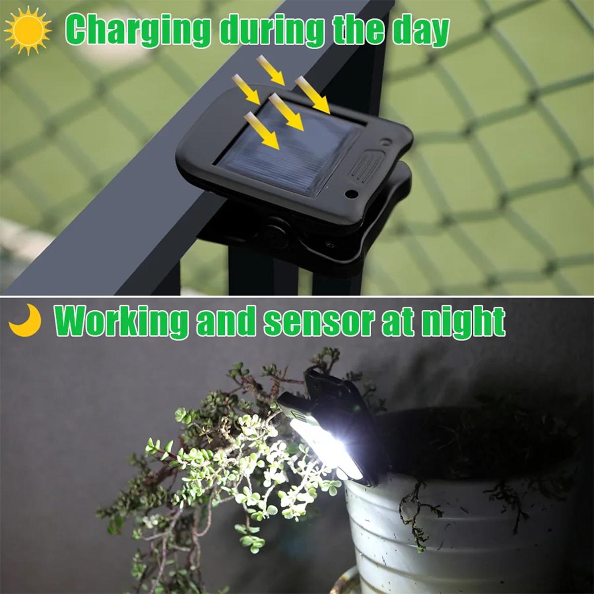 Clip solare ha portato il sens - Smart Garden Solar Lights recensione e prezzo