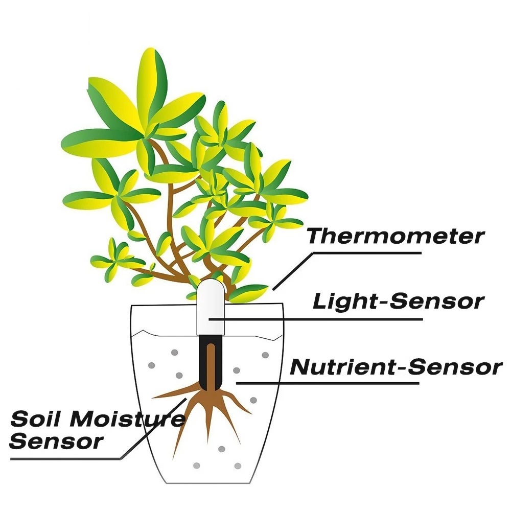HHCC Fiore Monitor Flora Giard - Smart Garden Sensors recensione e prezzo
